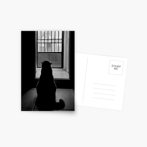 Home alone Postcard
