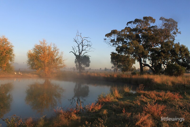 "Lockington, Victoria" by littlewings Redbubble