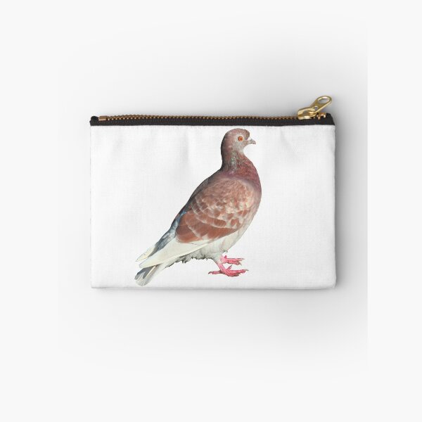 Aperçu de l'œuvre Red Pigeon (Isolated) créée et vendue par Artberry.