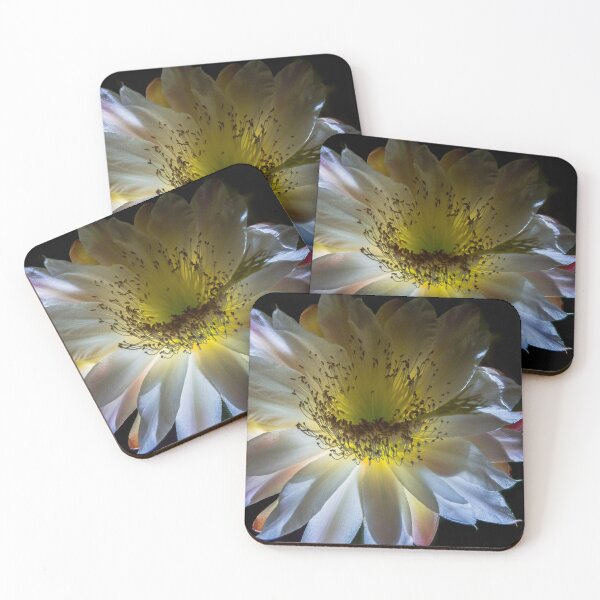 Item preview, night flower  designed and sold by warren dacey.