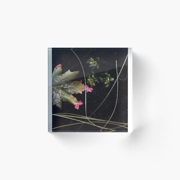 Item preview, Naturaleza frondosa designed and sold by Sam Mitchell.