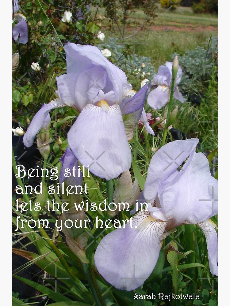 Carte De Vœux Lavande Iris Fleurs Dans Le Jardin Etre Calme Et Silencieux Permet A La Sagesse Citations Inspirantes Par Sarahrajkotwala Redbubble