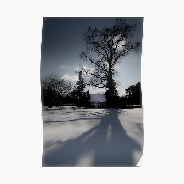 Winter Shadows Poster