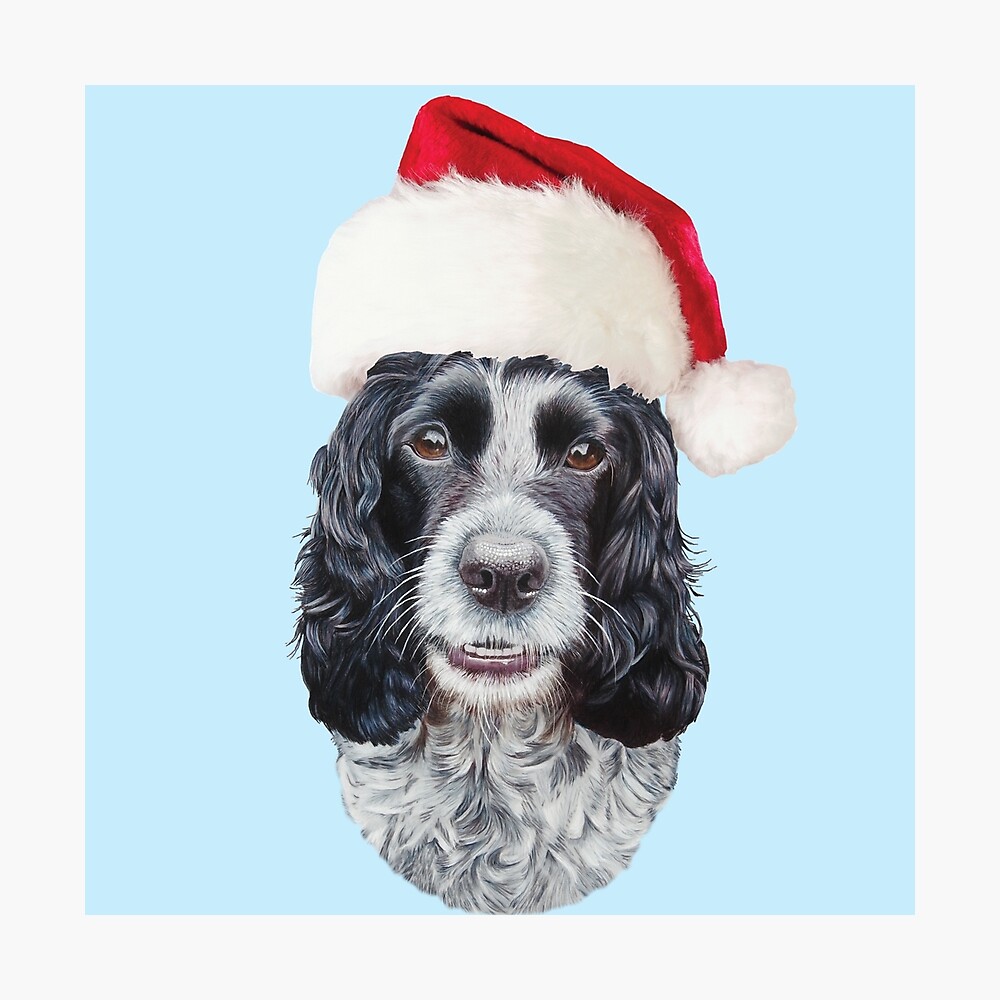 bape shark backpack sprayground