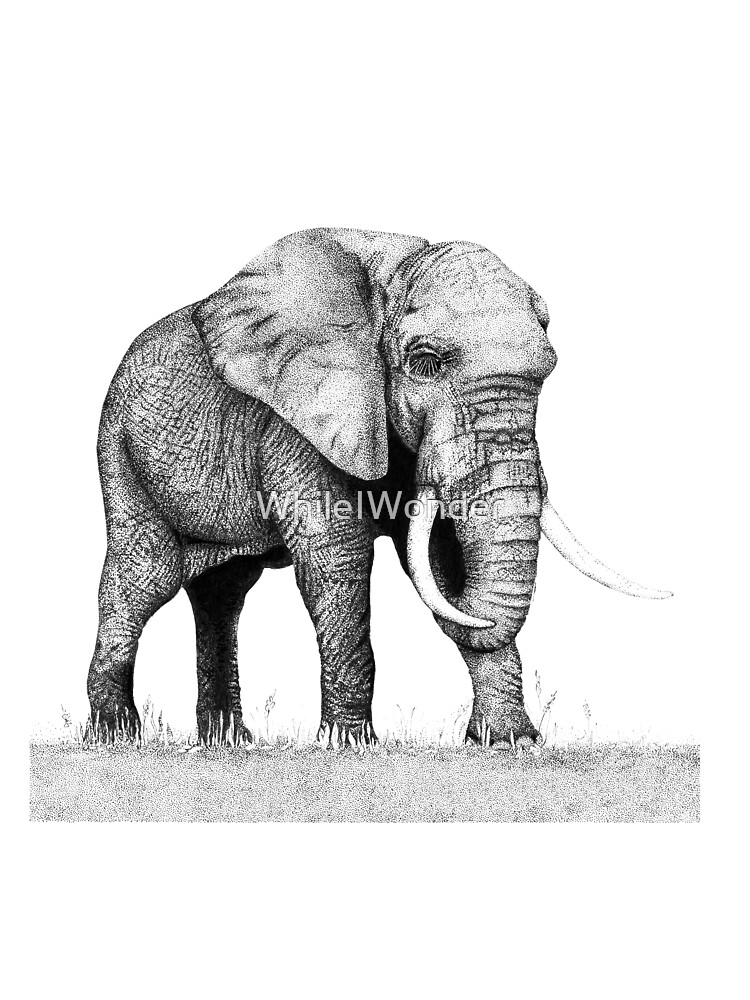 Elephant Ink Pen Stippling Drawing  Kids T-Shirt for Sale by WhileIWonder