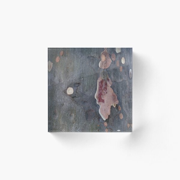 Abstract Gum Tree Acrylic Block