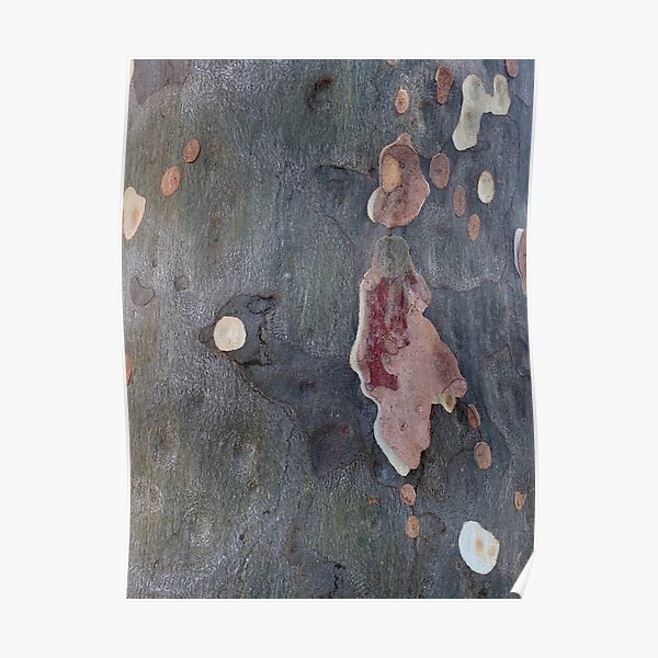 Abstract Gum Tree Poster