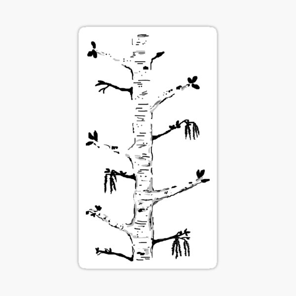 Blooming Birch /Black and white tree Sticker