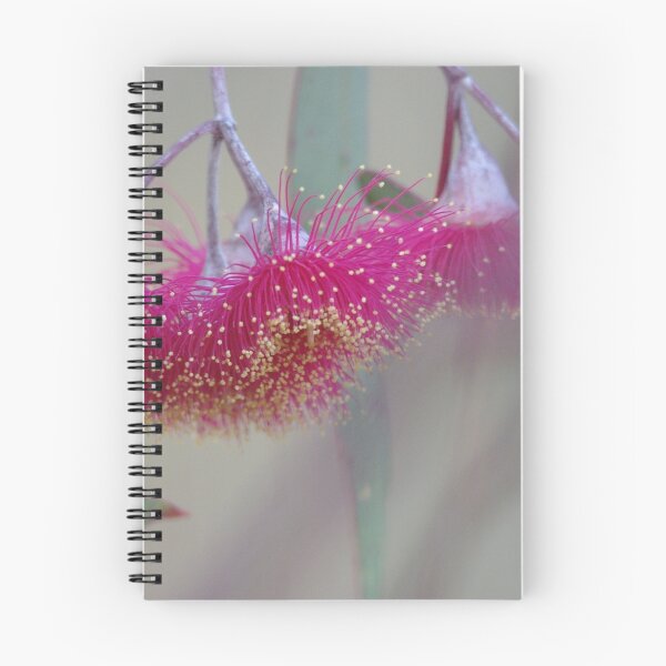 Item preview, Birght spring bloom - Australian native designed and sold by imaginethis.