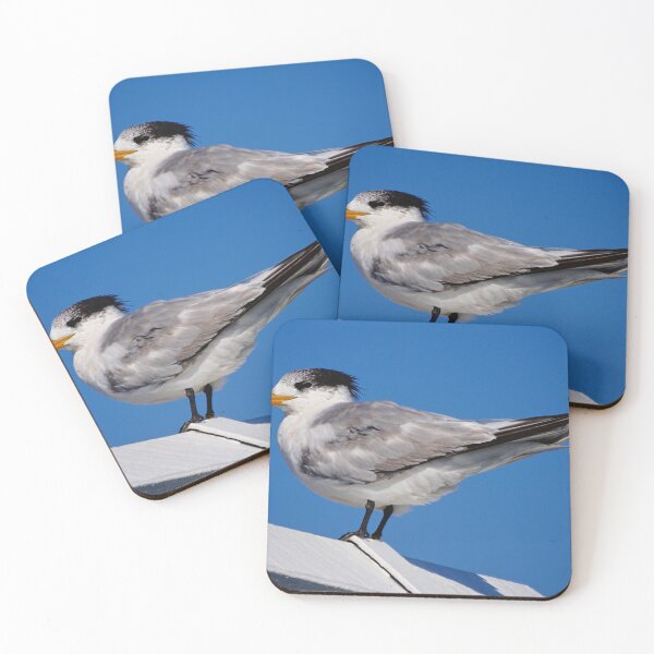 Item preview, Caspian Tern designed and sold by D-GaP.