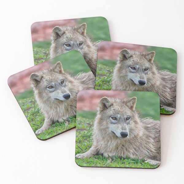 Item preview, Timber Wolf Gaze designed and sold by Karen Peron.