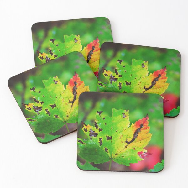 Item preview, Colour-Fall  designed and sold by Melinda  Ison - Poor.