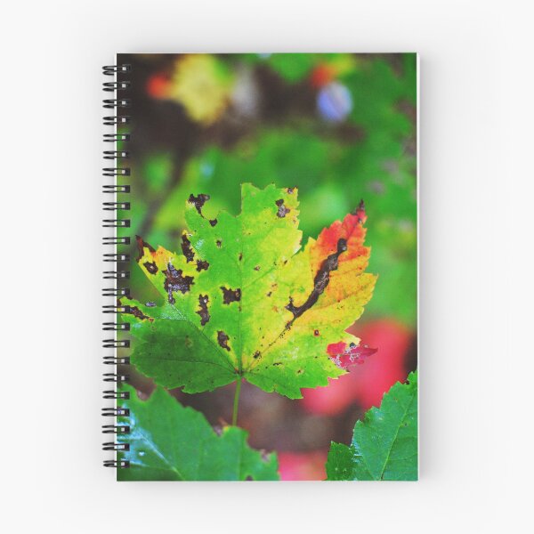Item preview, Colour-Fall  designed and sold by Melinda  Ison - Poor.