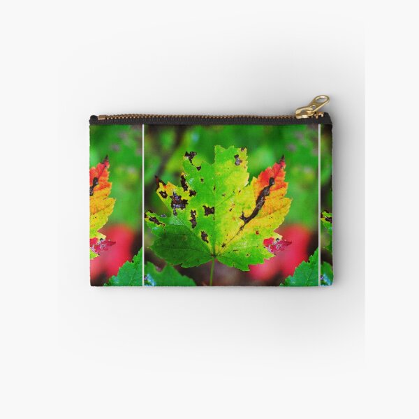 Item preview, Colour-Fall  designed and sold by Melinda  Ison - Poor.