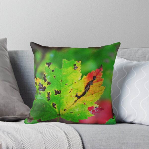 Item preview, Colour-Fall  designed and sold by Melinda  Ison - Poor.