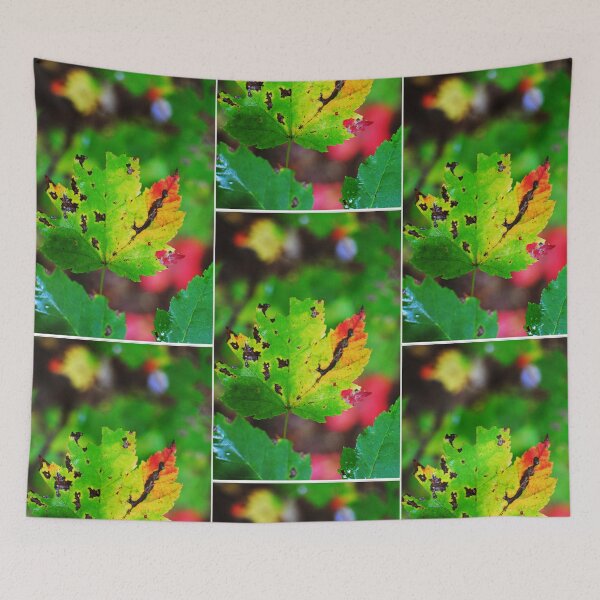 Item preview, Colour-Fall  designed and sold by Melinda  Ison - Poor.