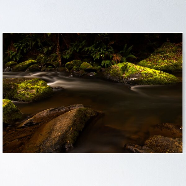 Item preview, Green with Envy - Otways - Victoria designed and sold by Graeme Buckland.