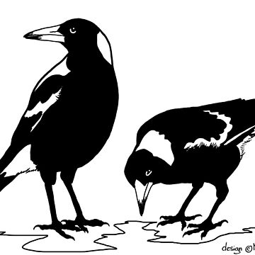 Artwork thumbnail, MAGPIES - australian magpie graphic art t-shirt by pavlovais