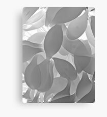 White on White Canvas Print