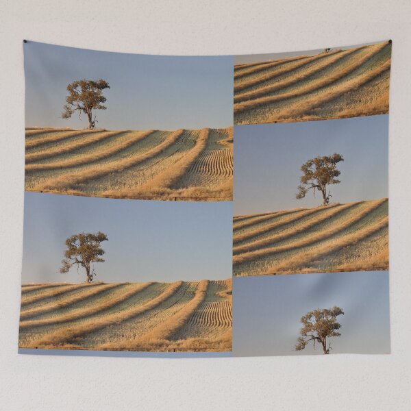 Item preview,  Tree, Burley Griffin Way,NSW, Australia 2019 designed and sold by muz2142.