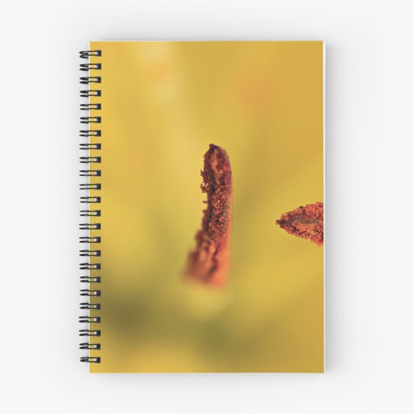 Item preview, Stamen designed and sold by Yannik Hay.