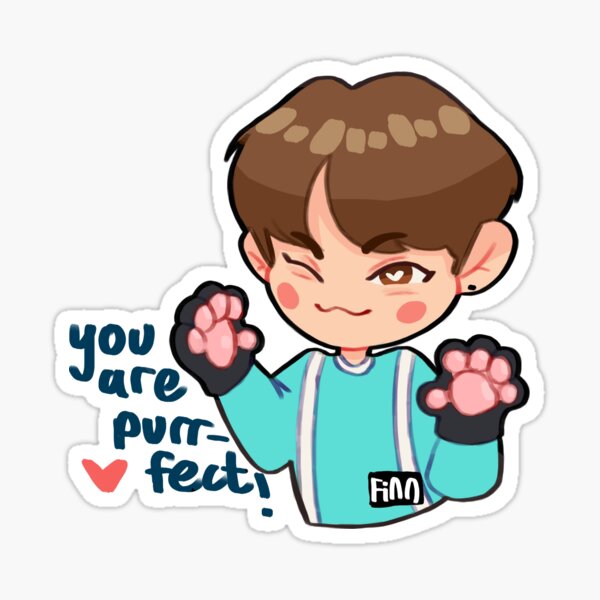 Stray Kids Positivity Stickers Sticker for Sale by finntasticart