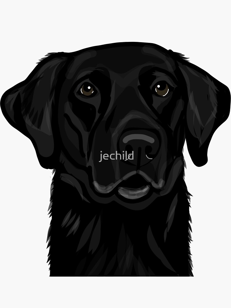 "Black lab drawing " Sticker for Sale by jechild Redbubble