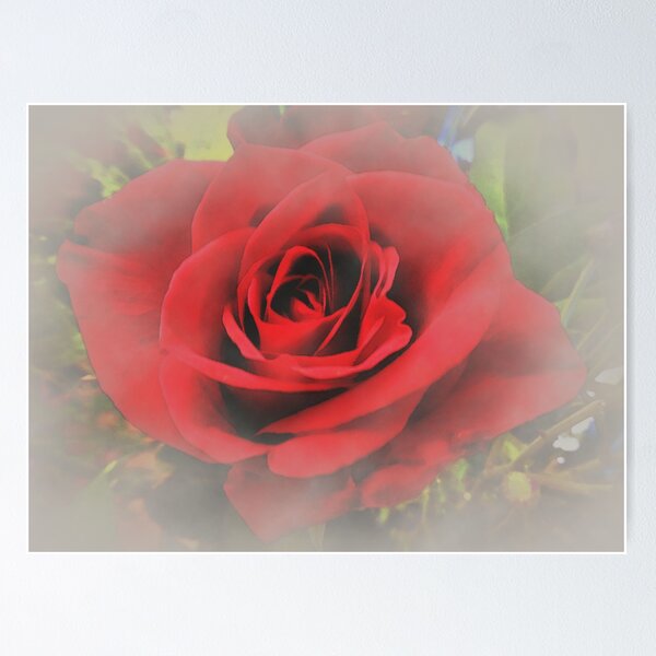 Item preview, Romantic Rose designed and sold by LuxPNSilva.