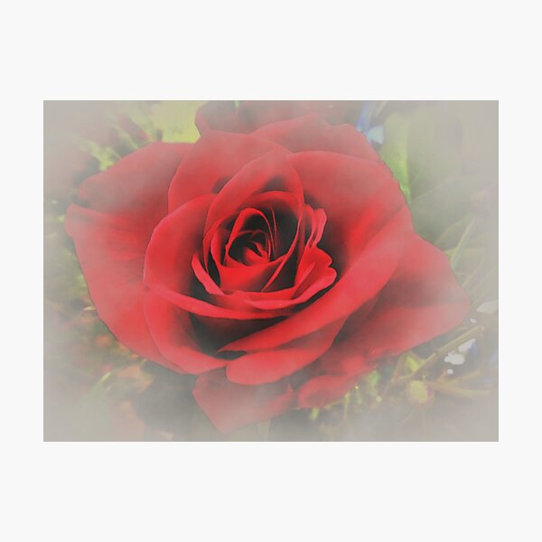 Item preview, Romantic Rose designed and sold by LuxPNSilva.