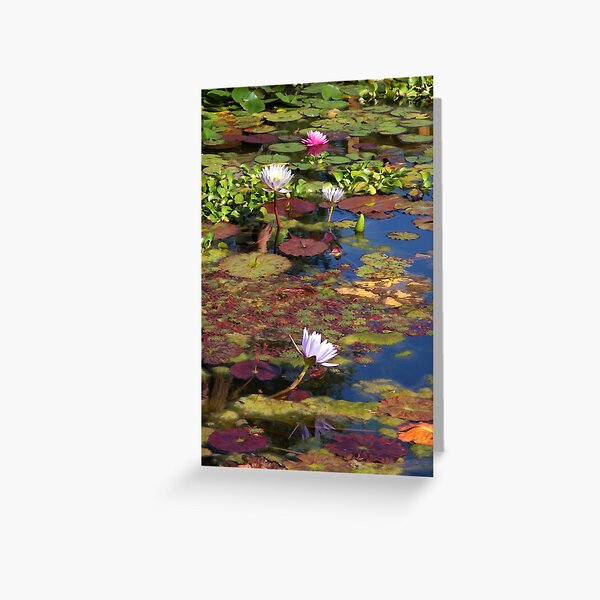 Abundant Life Greeting Card