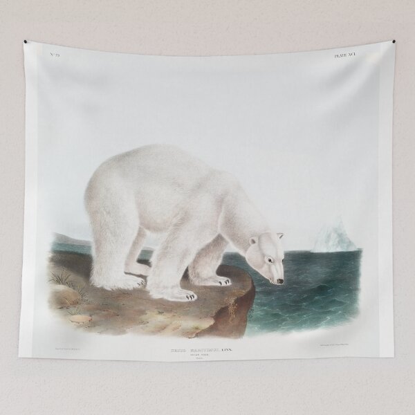Item preview, Polar Bear (Ursus maritimus) designed and sold by OBJETDART.
