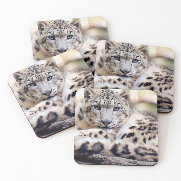 Snow leopard Coasters (Set of 4)