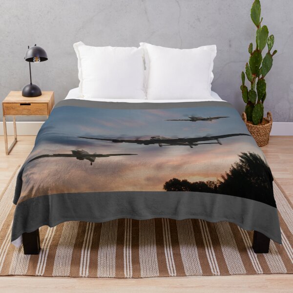 Vista previa del artículo con la obra «Pase bajo de BBMF al atardecer», diseñado y vendido por Steve H Clark.