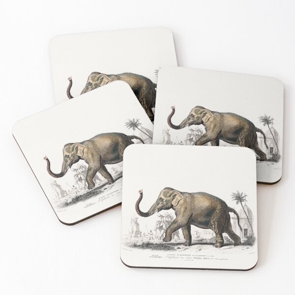 Item preview, Elefante asiático (Elephas maximus) indicus designed and sold by OBJETDART.
