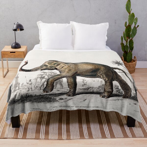 Item preview, Asiatic elephant (Elephas maximus) indicus designed and sold by OBJETDART.