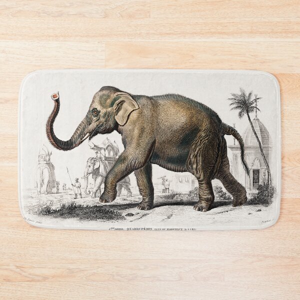 Item preview, Asiatic elephant (Elephas maximus) indicus designed and sold by OBJETDART.