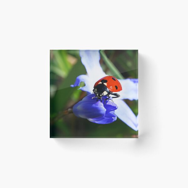 Artikelvorschau, Lady on Spring Flower entworfen und verkauft von Jo Nijenhuis.