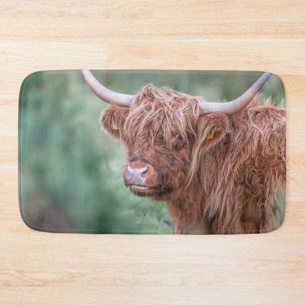 Item preview, Scottish cow close up designed and sold by NatureSight.