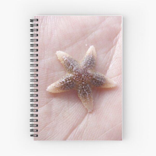 Item preview, starfish designed and sold by Ianua.