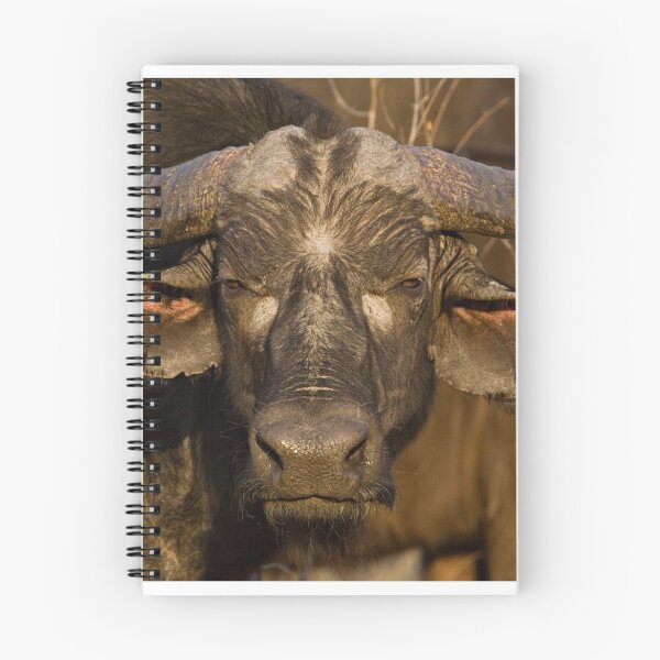 Item preview, It's No Bull designed and sold by Michael Moss Photography.