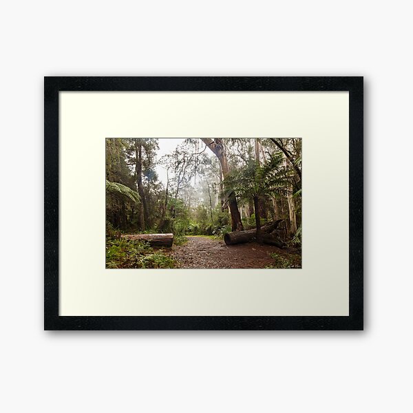 Item preview, The Way is Clear designed and sold by Linda Lees.