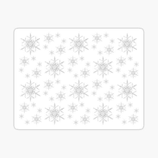 Snowflakes! Sticker