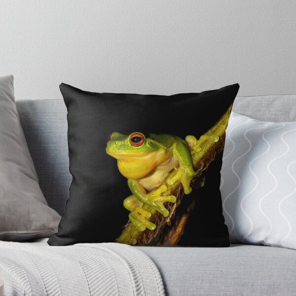Item preview, Red Eyed Tree Frog - Litoria chloris designed and sold by Rob Price.
