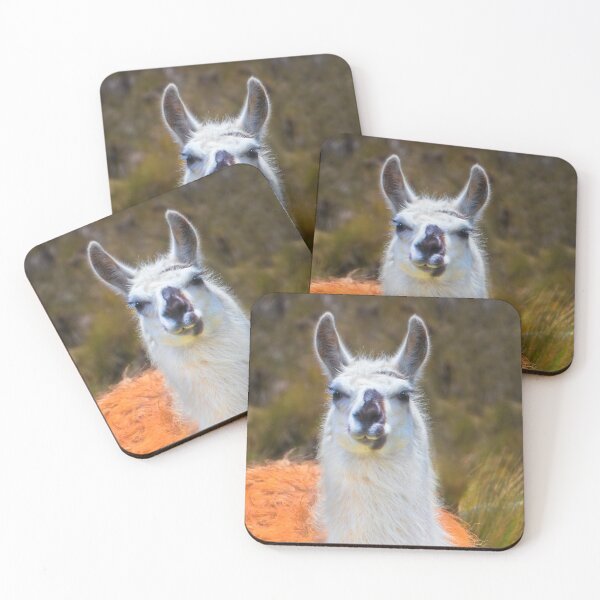 Item preview, A Llama In The Cajas In Ecuador II designed and sold by alabca.