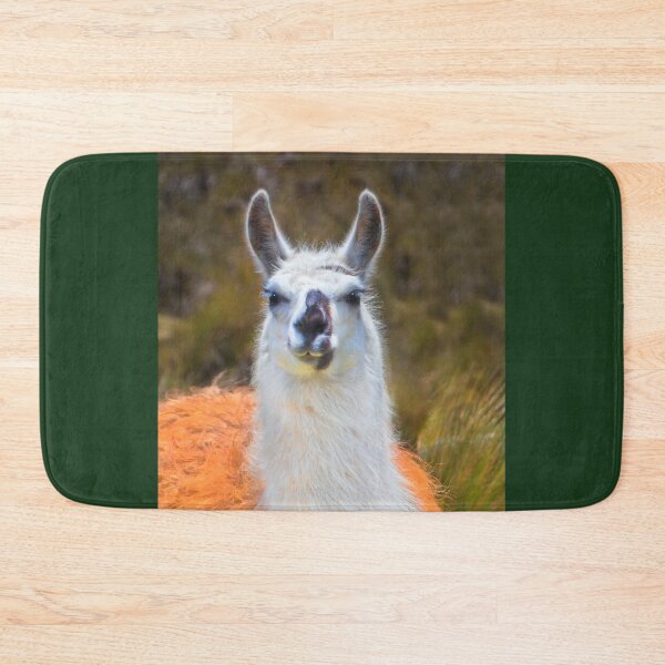 Item preview, A Llama In The Cajas In Ecuador II designed and sold by alabca.