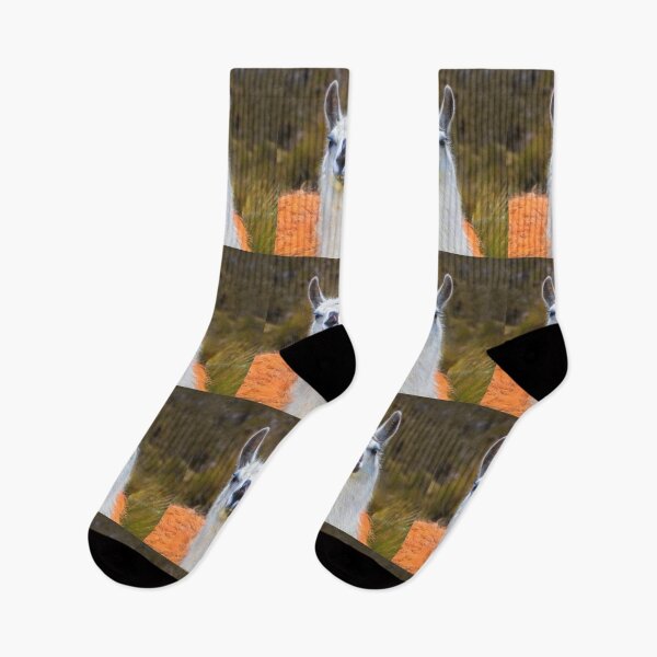 Item preview, A Llama In The Cajas In Ecuador II designed and sold by alabca.