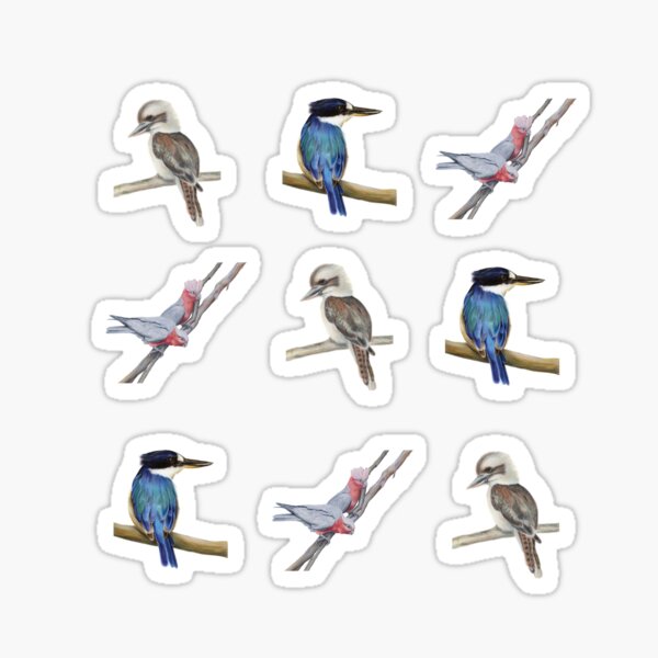 Item preview, Kookaburra Kingfisher Galah Pattern art designed and sold by RachaelCurryArt.