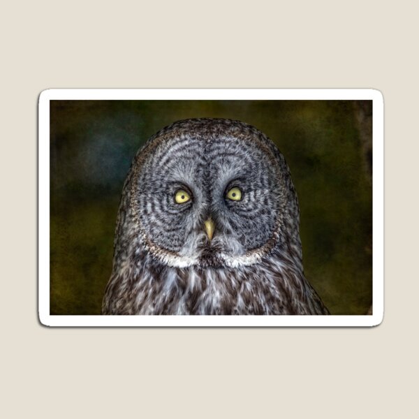 Staring Down Magnet