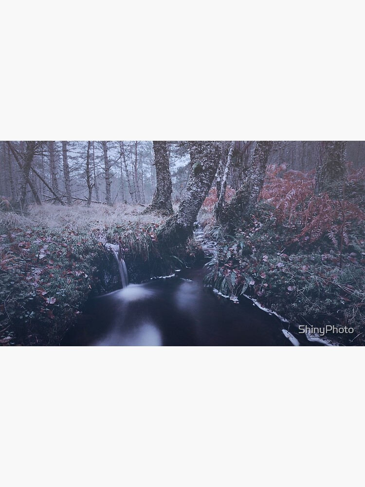 Unnamed Burn by ShinyPhoto