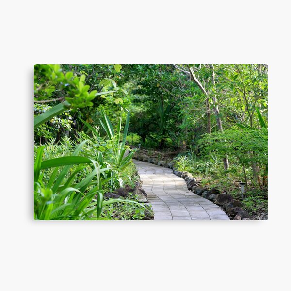 Pathway to Happiness Canvas Print